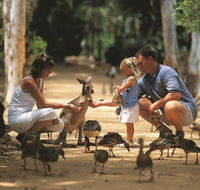 Billabong Sanctuary - Accommodation Mooloolaba