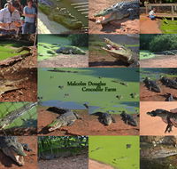 The Malcolm Douglas Crocodile Park - Accommodation Mooloolaba