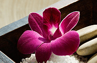 Blush Beauty Saloons - Accommodation Mooloolaba 4