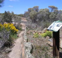 Christmas Rock Walk - Accommodation Mooloolaba