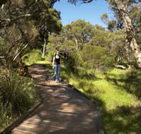 Leschenault Peninsula Conservation Park - Accommodation Mooloolaba