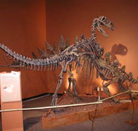 Denmark Dinosaur World - Accommodation Mooloolaba