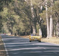 Ludlow Tuart Forest - Accommodation Mooloolaba
