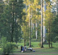 Big Brook Arboretum - Accommodation Mooloolaba