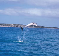 Steep Point - Accommodation Mooloolaba