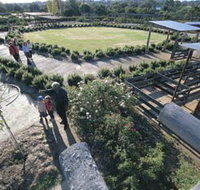 Kojonup Rose Maze - Accommodation Mooloolaba
