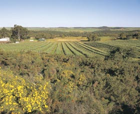 Chapman Valley Scenic Drive - Accommodation Mooloolaba 0