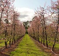 Raeburn Orchards - Accommodation Mooloolaba