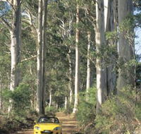 Mount Shadforth Scenic Drive - Accommodation Mooloolaba
