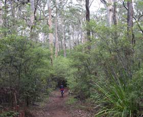  Accommodation Mooloolaba