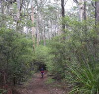 Margaret River Rails Trail - Accommodation Mooloolaba