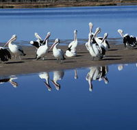 Peel Region Canoe Trails - Accommodation Mooloolaba