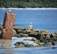 Whalers Beach - Accommodation Mooloolaba