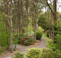 Mount Lofty Botanic Garden - Accommodation Mooloolaba