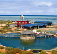 Ocean Park Aquarium - Accommodation Mooloolaba