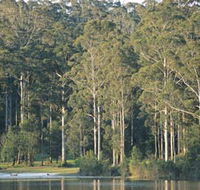 Big Brook Dam - Accommodation Mooloolaba