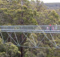 Walpole Wilderness Discovery Centre - Accommodation Mooloolaba