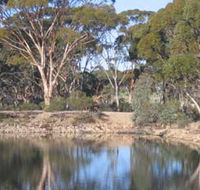 Merredin Railway Dam - Accommodation Mooloolaba