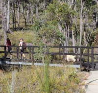 Forest Path Crooked Brook - Accommodation Mooloolaba