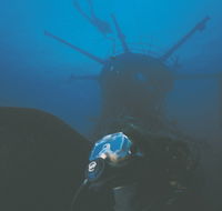 Swan Dive Wreck - Accommodation Mooloolaba