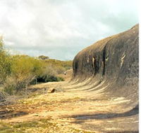Totadgin Dam Reserve - Accommodation Mooloolaba