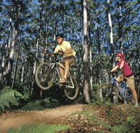 Leeuwin-Naturaliste National Park - Cowaramup - Accommodation Mooloolaba