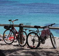 Parker Point Marine Snorkel Trail - Accommodation Mooloolaba