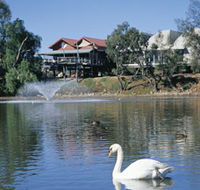White Swans - Accommodation Mooloolaba