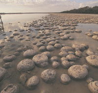 Yalgorup National Park - Accommodation Mooloolaba