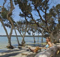 Stokes National Park - Accommodation Mooloolaba