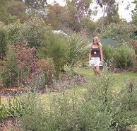 The Mythic Mazes - Accommodation Mooloolaba