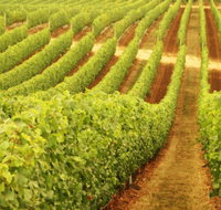 Xanadu Wines - Accommodation Mooloolaba