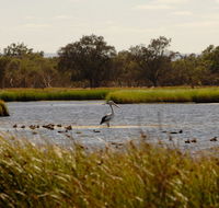 Anytime Adventures in Mandurah  the Peel Region - Accommodation Mooloolaba