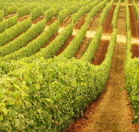 Happs Wines - Accommodation Mooloolaba