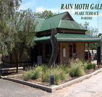 Rain Moth Gallery - Accommodation Mooloolaba