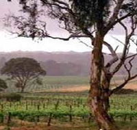 Yangarra Estate Vineyard - Accommodation Mooloolaba