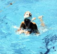 Mount Gambier Aquatic Centre - Accommodation Mooloolaba