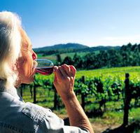 Ashton Hills Vineyard - Accommodation Mooloolaba