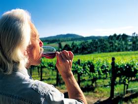 Ashton Hills Vineyard - Accommodation Mooloolaba 0