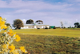 Fox SA Accommodation Mooloolaba