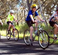 Penola Cycling Trails - Accommodation Mooloolaba