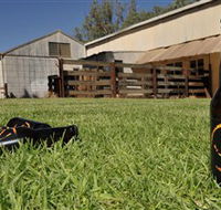 Wilkadene Woolshed Brewery - Accommodation Mooloolaba