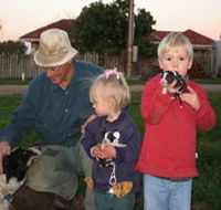 Orrie Cowie Merino and Poll Merino Stud - Accommodation Mooloolaba