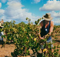 Torbreck Vintners - Accommodation Mooloolaba