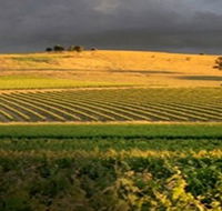 Kellermeister Wines - Accommodation Mooloolaba