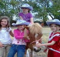 Amberainbow Pony Rides - Accommodation Mooloolaba