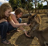 Kangaroo Island Wildlife Park - Accommodation Mooloolaba