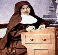Mary MacKillop Penola Centre - Accommodation Mooloolaba