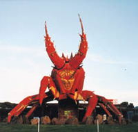 The Big Lobster - Accommodation Mooloolaba
