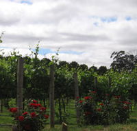 Manyara Vineyard - Accommodation Mooloolaba